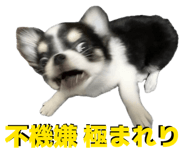 845515465