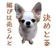 845515469
