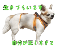 845515479