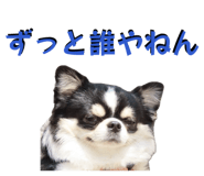 845515484
