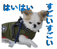 845515489