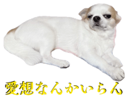 845515492
