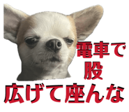 845515493