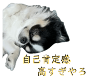 845515496
