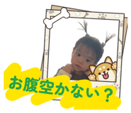 845515498