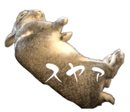 845515586