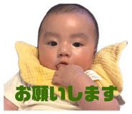 845515594