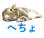 845515598