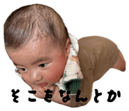 845515607