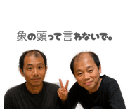 845516146
