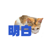 845519003