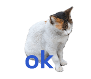 845519004