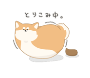 845521302
