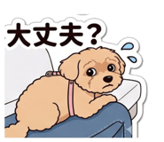 845521640