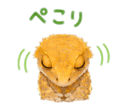 845521931