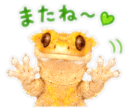 845521934