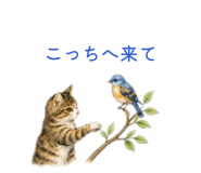 845522485