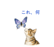 845522486