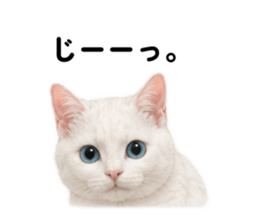 845522553