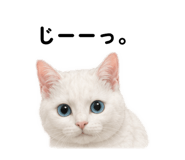 845522553