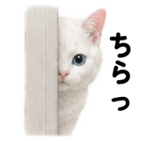 845522555