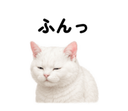845522556