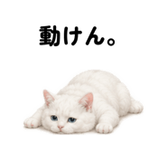 845522568
