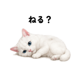 845522569