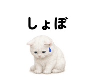 845522570