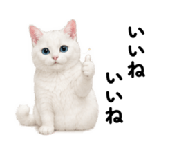 845522574