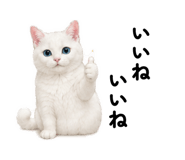 845522574