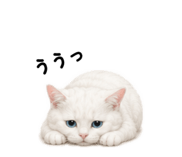 845522575