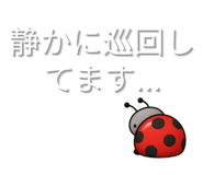 845522795