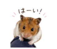 845523048