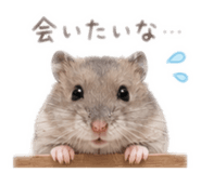 845523078