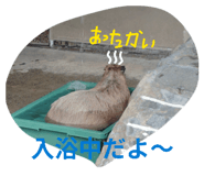 845523182