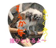 845523183