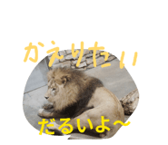845523184