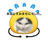 845523289