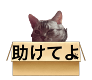 845523292