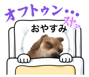 845523294