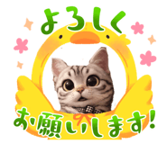 845523297