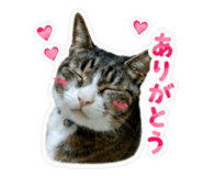 845523670