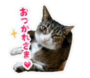 845523672