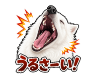 845523819