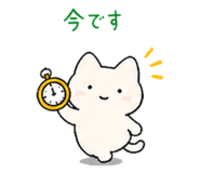 845524382