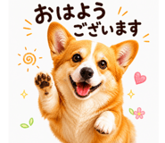 845524716