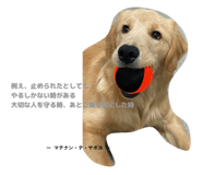 845526589