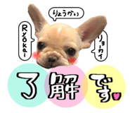 845526937
