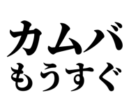 845527041